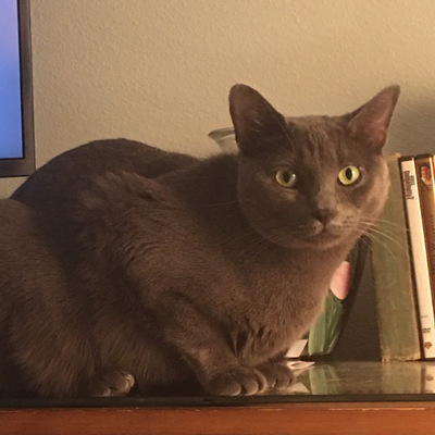 avatar