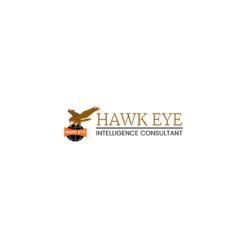detectivehawkeye